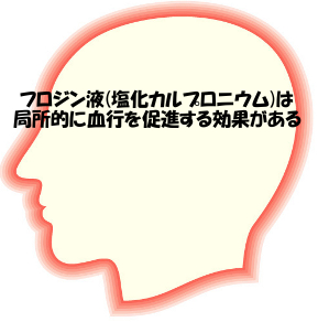 フロジン液は血管を拡張することで育毛を促す効果があるとされる