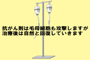 薬剤(抗がん剤など)による脱毛は細胞分裂が活発なゆえ起きる