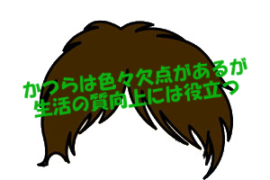 かつらで円形脱毛症は治せないがガイドライン的には推奨される