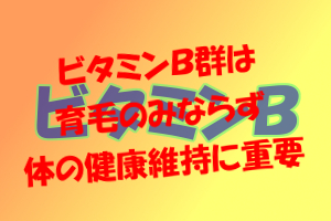 ビタミンＢが髪に良いと言われる理由｜タンパク質の代謝等に関係する