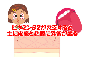 ビタミンb2欠乏症に陥ると脱毛症や皮膚炎などを引き起こす