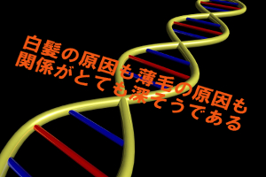 白髪の原因は脱毛症とよく似ている｜やはり遺伝の関連が深い