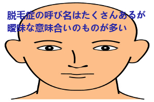 いろいろな言い方がある脱毛症の名称や意味の違いをおさらい