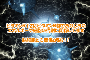 ビタミンＢ１２の効能｜全ての細胞代謝に関わるなど髪にも大事なもの