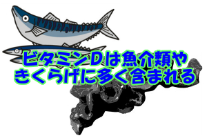 ビタミンＤが多い食品一覧｜ほとんど魚介類にしか含まれていない