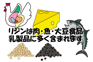 リジンが含まれる食品｜大豆や魚介類・肉類などに多い