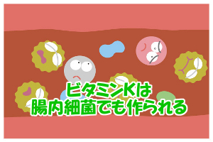 ビタミンＫ欠乏症について｜新生児や抗生剤使用者が不足しやすい