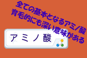 アミノ酸は育毛との関連が深い｜タンパク質の材料などになる