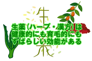 ハーブや漢方などの生薬｜育毛的に様々な効能が隠れています