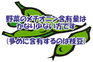 野菜類にもメチオニンが含まれるが含有量がとても少ない特徴がある