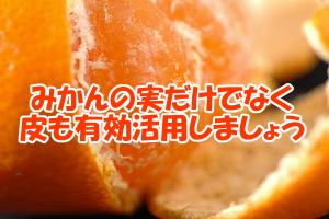 みかんの皮成分を効果的に摂取する方法｜干したり焼いたりなど