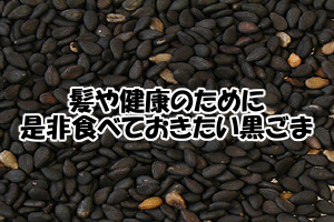 内臓や血液の調子を整える黒ごま｜育毛や白髪対策にも効果的です