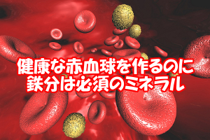 鉄と髪の深い関係｜細胞分裂は赤血球が運ぶ酸素が必要不可欠