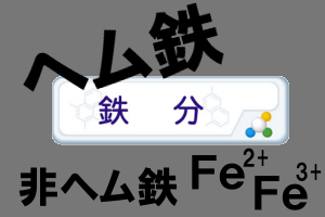 鉄分には大きく分けて２種類ある｜ヘム鉄の方が吸収率が高い