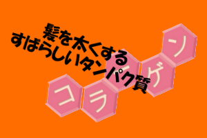 タンパク質の一種のコラーゲン｜髪を１０％太くする効果がある