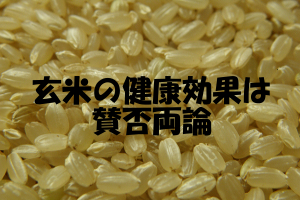 栄養価や解毒効果に優れた玄米｜ミネラル損失の欠点もある