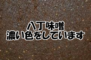 育毛にオススメの調味料・八丁味噌｜ＩＧＦ－１を増やす働きがある