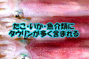 タウリンを多く含む食品一覧 ポイントは魚介類と血合肉