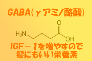 脳などに健康効果を発揮するギャバ｜ＩＧＦ－１も関係している？