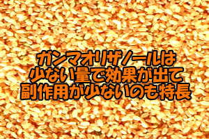 ガンマオリザノールは副作用のリスクが低い｜摂取量の目安はない