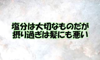 塩分の取りすぎは髪にも悪い｜知覚神経を減少させ薄毛をも促す