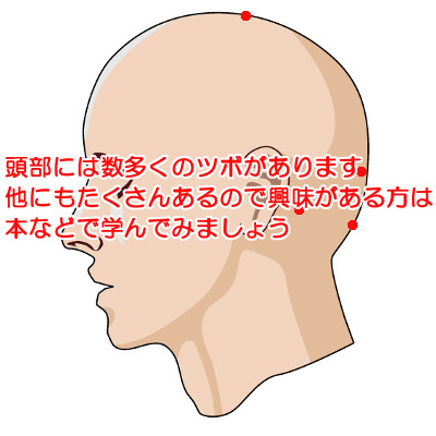 頭部には髪と関係が深いツボがいくつか存在します