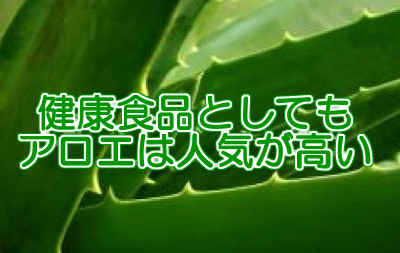 アロエ育毛剤の作り方｜ホワイトリカーと混ぜるだけなので簡単