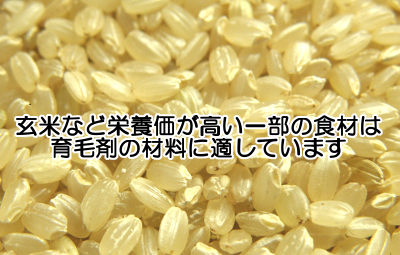 玄米美髪水は材料集めが手間ですが髪にとって有用な栄養素を多く含む