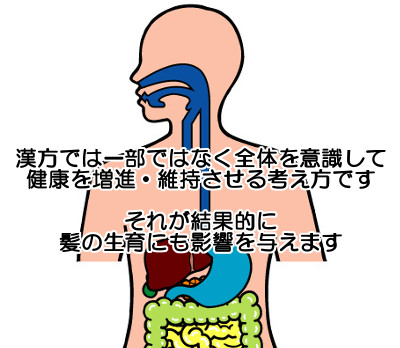 【漢方流】健康な頭髪を作る考え方と３つのお手入れ方法