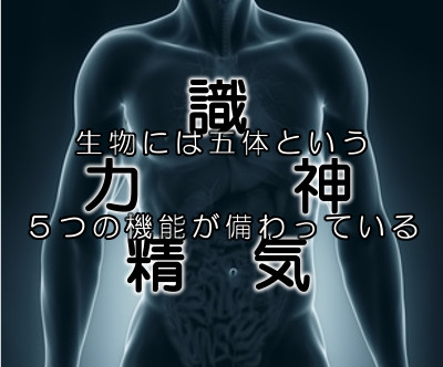 五体満足の一般的な認識と中医学の認識は異なります