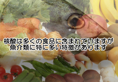 核酸は大半の食べ物に含まれているので満遍なく食べましょう。ただ動物性食品は魚をメインに。