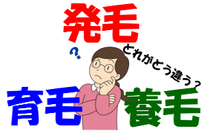 育毛や発毛、養毛など紛らわしい言葉の意味の違いは何？