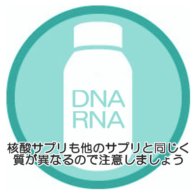 核酸サプリメントの選び方｜体内に長く留まる高分子がポイント