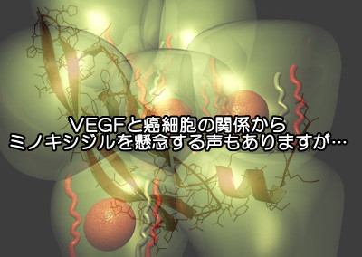 vegfはもともと体に存在する血管に関係するたんぱく質でありミノキシジルと癌は必ずしも結びつかない