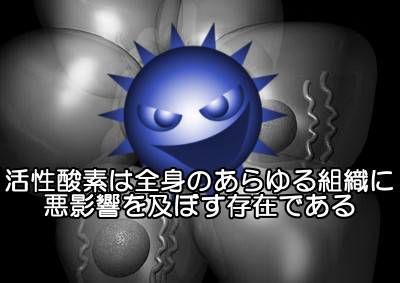 活性酸素は体の劣化の最大級の要因なので当然のことながら薄げに関係していると考えておきましょう