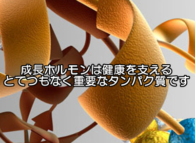 成長ホルモンは育毛に関連する重要な分泌物なので睡眠はしっかり取るようにしましょう