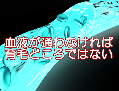 悪い生活習慣を送っていると動脈吻合が起こり髪にまで栄養が行き渡らなくなる危険性があるので健康を意識することは育毛に直結するとても重要なことになります