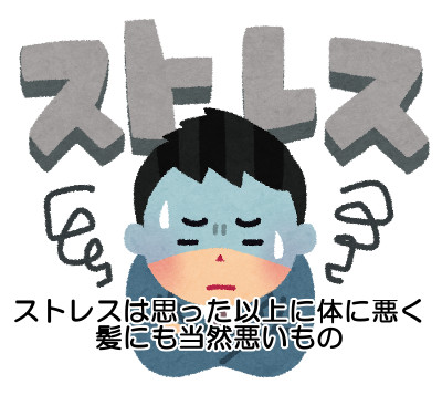 ストレスは活自律神経を狂わせ体の調子を狂わせる大きな要因なので育毛的にもよくないものなのは明白です