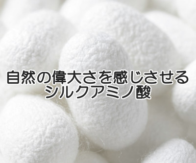 シルクアミノ酸は育毛に最適な成分の１つ｜これほど良質なものはない