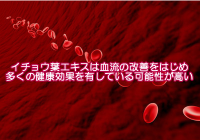 イチョウ葉エキスが薄毛対策になる理由｜フラボノイドが血管を拡張