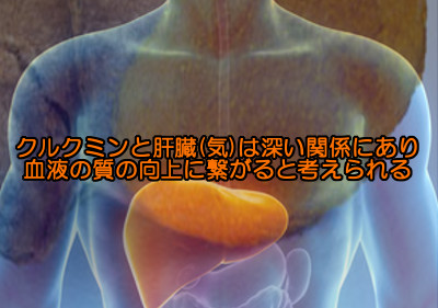 ウコンに含まれるクルクミンは様々な病気予防効果と薄毛の予防的な効果も期待される成分のひとつ