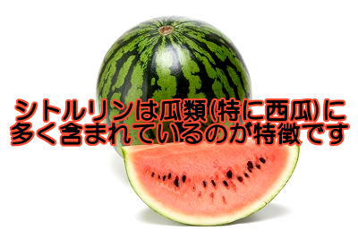 シトルリンを多く含む食品はいろいろあるのでサプリに頼らずそういう自然な食品から摂取していきましょう