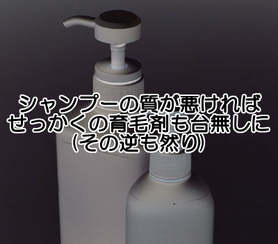 育毛剤もシャンプーも質にこだわるのは当たり前であり、どちらか一方だけが良くても意味がない