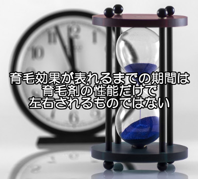 育毛剤で効果が実感できる期間は？｜主に４つの要素で決まってくる