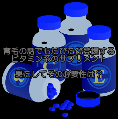 ビタミン類のサプリメントも多く出回っていますが果たしてそんな基本的な栄養素まで加工品から摂取する必要があるのか