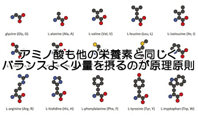 アミノ酸サプリと育毛の考え方｜髪を生やす為の基礎作りとなるもの