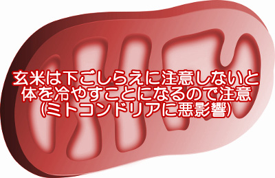 玄米にはミトコンドリア毒といわれるアブシジン酸が含まれているので水に長時間浸してから炊いたほうがよい