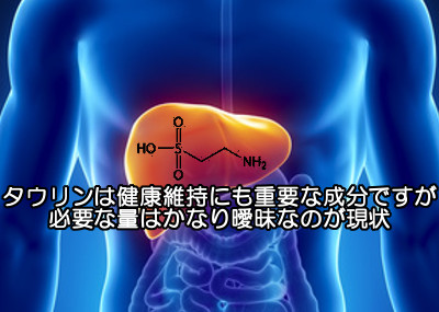 タウリンの摂取量と副作用について｜無闇に摂る必要はありません