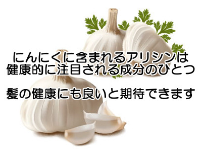 にんにくなどに含まれるアリシンの優れた健康効果は髪にも良い