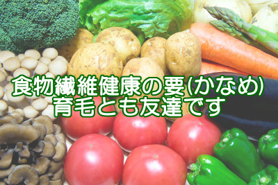 食物繊維は育毛をはじめ健康増進の為に必要不可欠な成分のひとつ